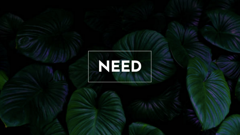 Photography Service Facebook Cover Video Template